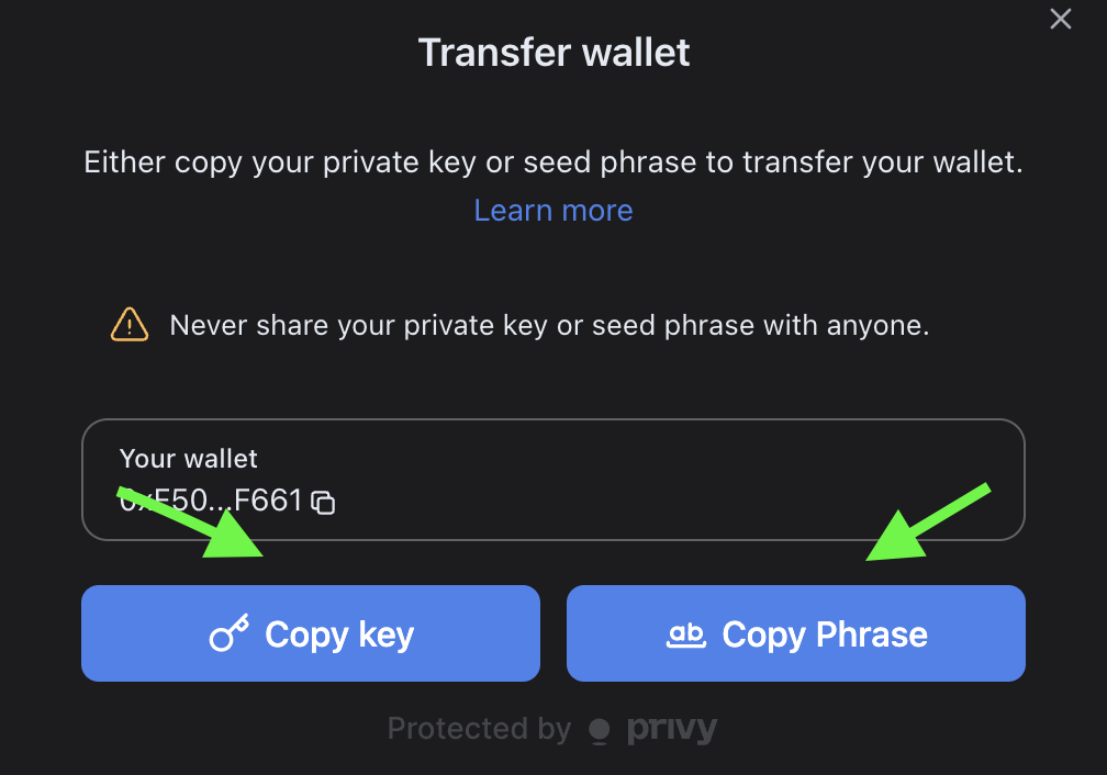 Export wallet dialog with copy options